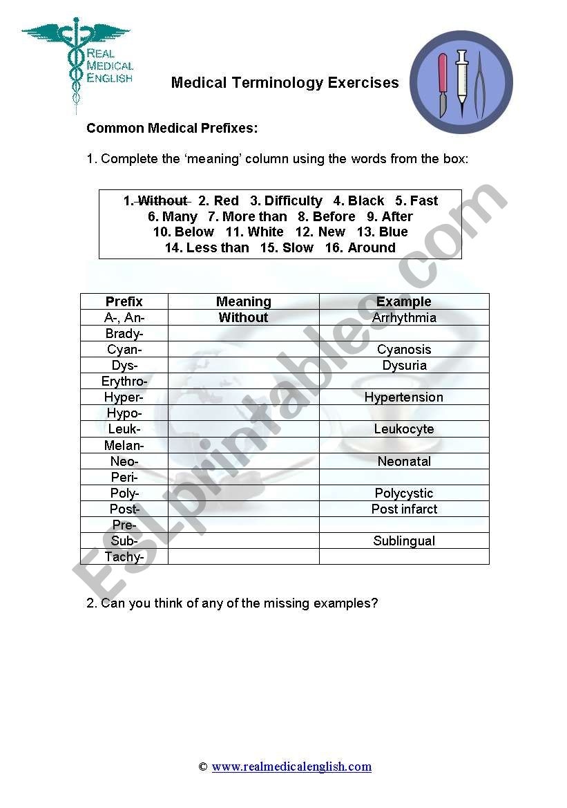 2 Medical Terminology Prefixes ESL Worksheet By Realmedicalenglish