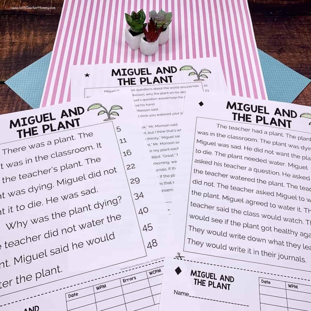 Free Printable Reading Worksheets For 1st Grade
