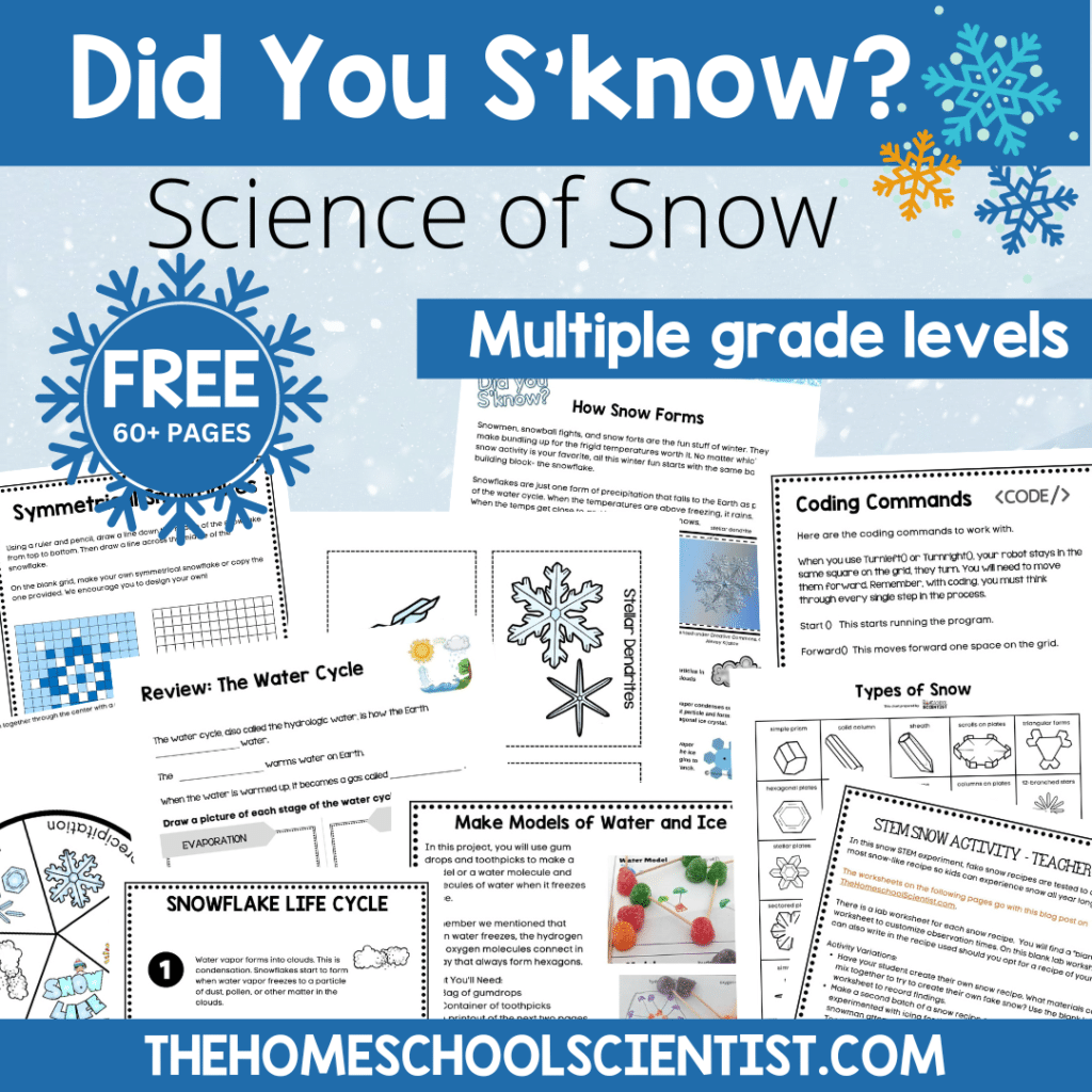 Free Printable Science Worksheets