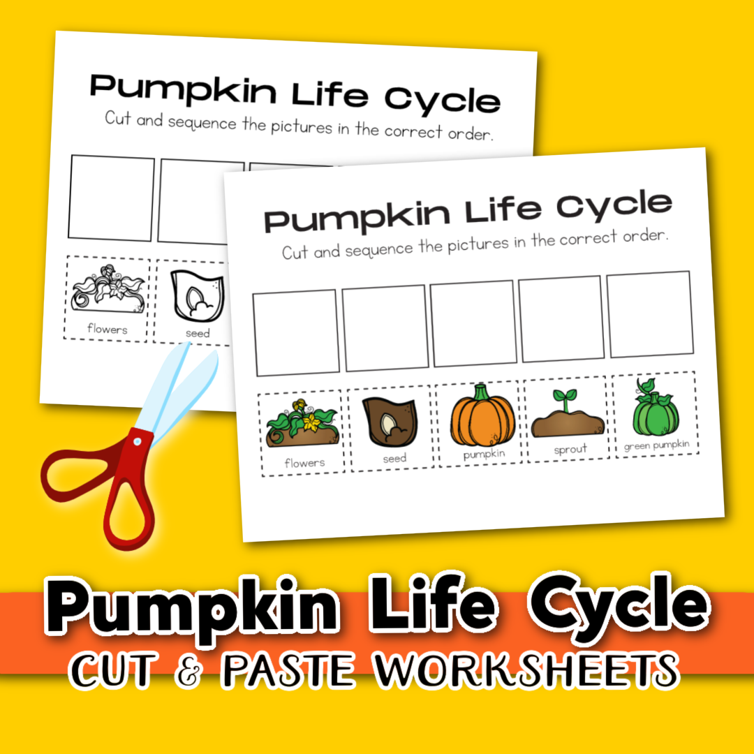 Free Printable Pumpkin Life Cycle Worksheet