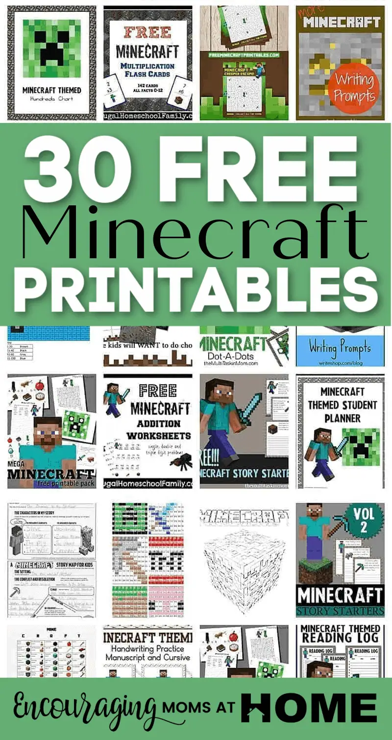 Printable Minecraft Worksheets