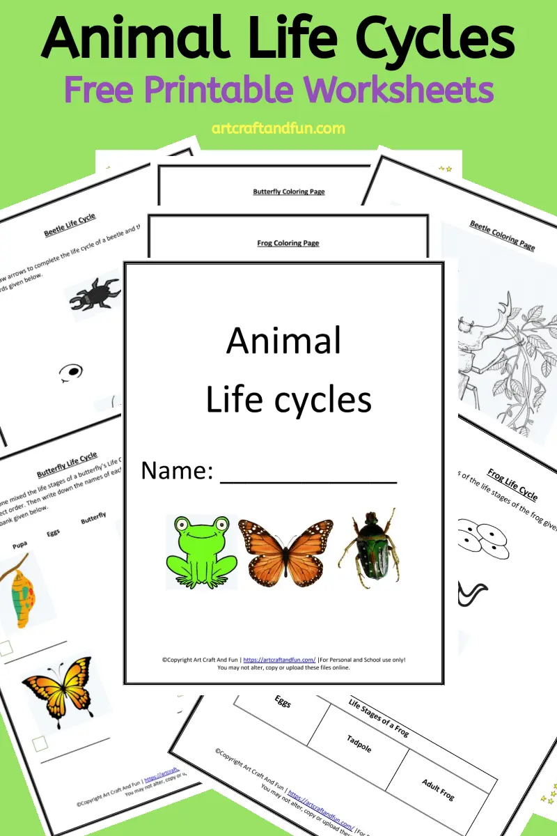 Fun Printable Worksheets For Adults
