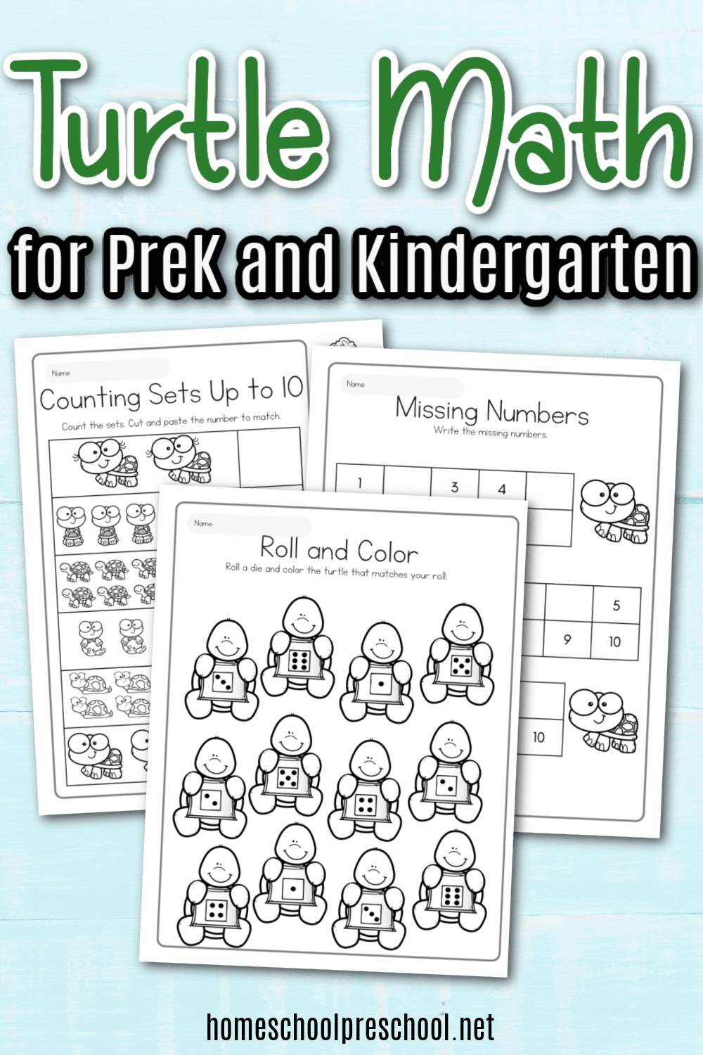 Free Printable Turtle Math Worksheets