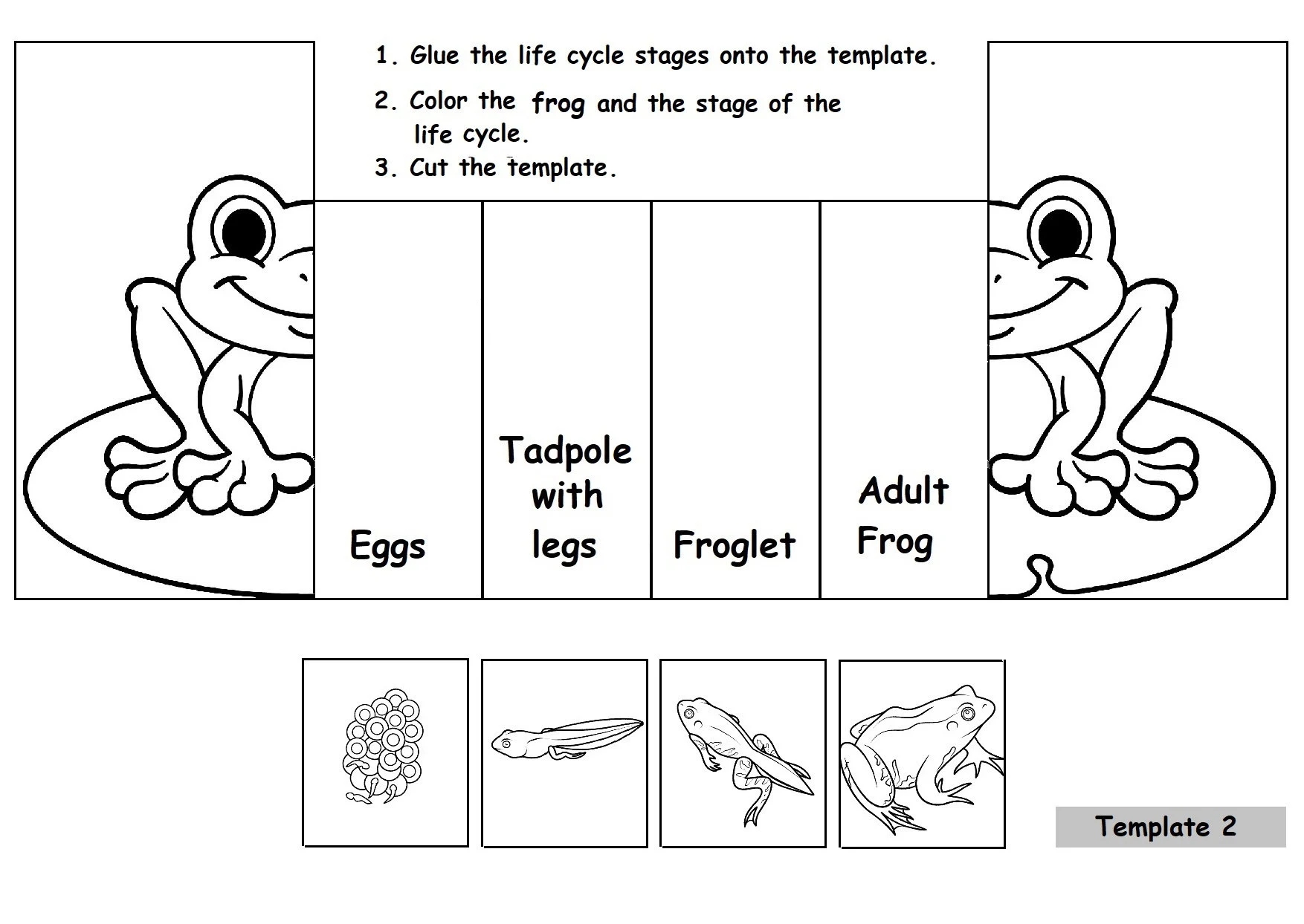 Free Printable Life Cycle Of A Frog Worksheet
