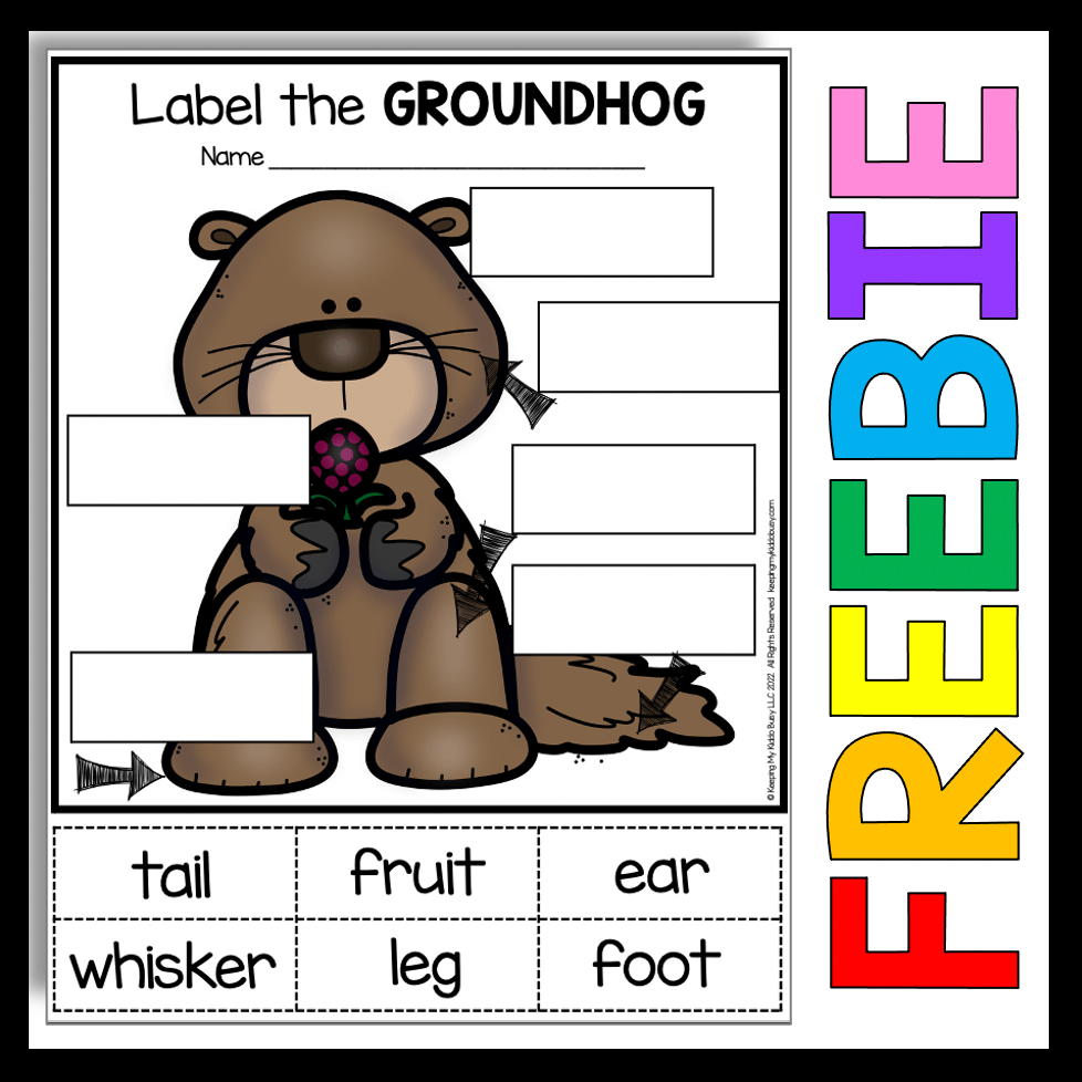 Free Printable Groundhog Day Worksheets
